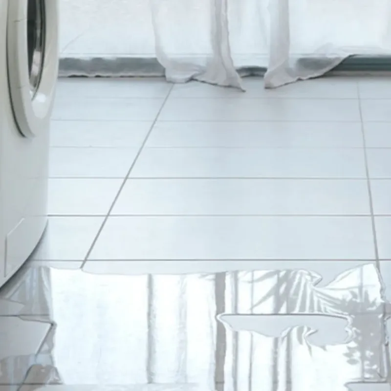 Appliance Leak Cleanup in Oglethorpe, GA