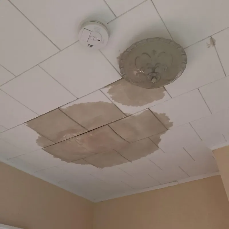 Ceiling Water Damage Repair in Oglethorpe, GA